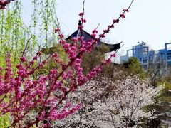 -堤角公园