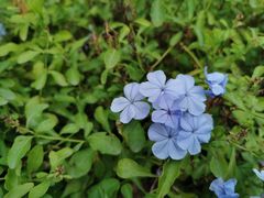 -湘湖金融镇