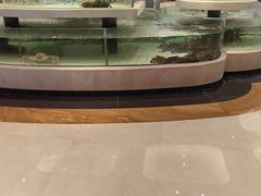 -苏州吴中白金汉爵大酒店