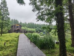 -黄海国家森林公园