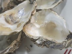 -明本湛江鸡•海鲜小厨(陈家祠店)