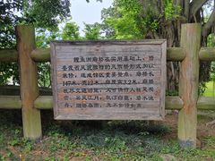 -鲤鱼洲酒店港鲤咖啡厅
