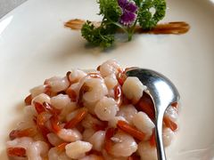 -蝶园·装修中(BFC外滩金融中心店)