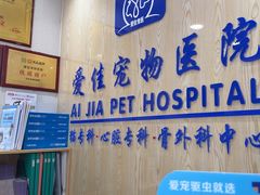 -爱佳宠物中心医院24H·CT·骨外科·猫专科(瑶海万达店)