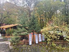 -朱雀国家森林公园
