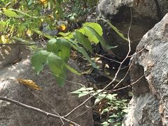 -辛玛王国游乐园