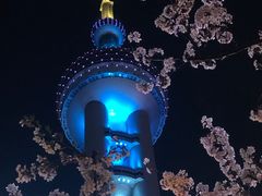 -东方明珠广播电视塔