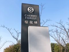 -映月湖中央公园