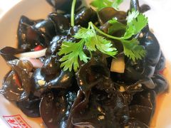 -深山老屋(张江店)