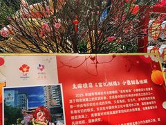-越秀西湖花市(广州城市广场花卉店)