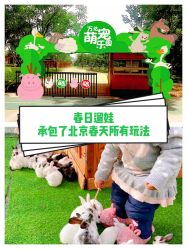 -萌宠亲子动物乐园(槐房万达店)