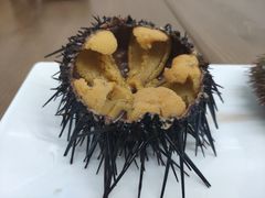 -海胆小馆(东北水饺·春柳店)