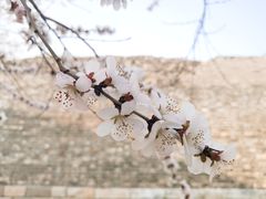 -北京明城墙遗址公园