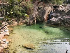-南海湾森林生态园