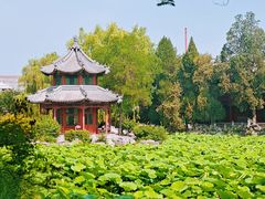 -莲池书院博物馆