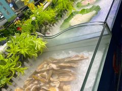 -巴犀烧烤(新崇光店)