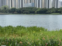 -南宁南湖公园