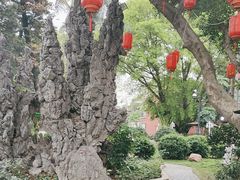 -金河半岛园林酒家(金融城店)