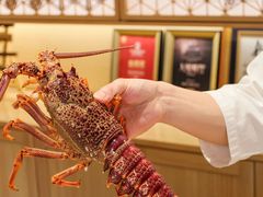 -辉·四季料亭·怀石料理·深夜食堂烧鸟·Omakase