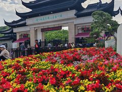 -苏州上方山国家森林公园