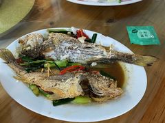 -龙眼南白粥六顺白粥