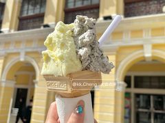 番石榴-柠檬车露(卖草地店)