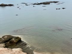 -辽宁团山国家级海洋公园