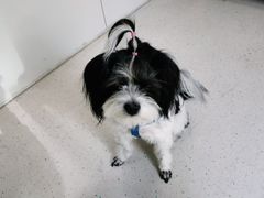 -全心全意连锁动物医院(加州店)