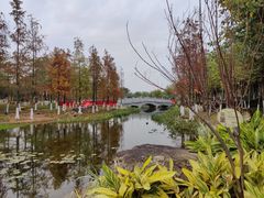 -映月湖公园
