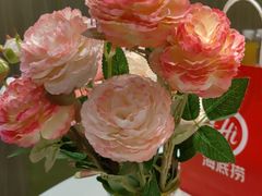 -海底捞火锅(北金鹰店)