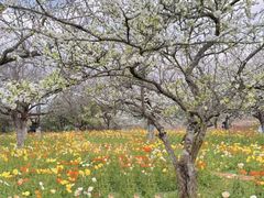 -名花谷生态庄园