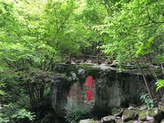 -青峰峡国家森林公园