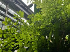 -南山植物园