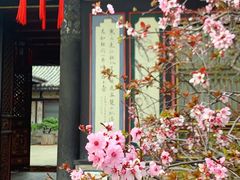 -朱家花园
