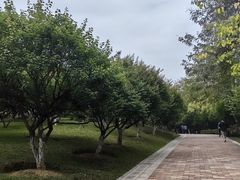 -玉树公园