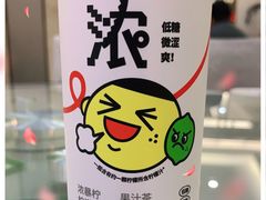 -苏启渔港(云南北路店)