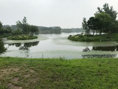 -东郊湿地公园
