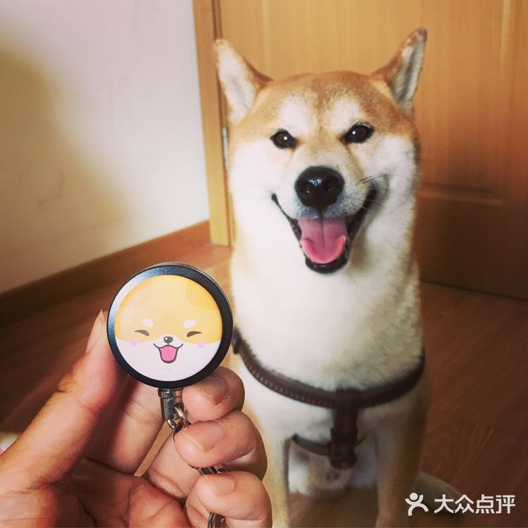 买书送了果壳网的狗年红包太可爱了
