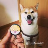 买书送了果壳网的狗年红包太可爱了