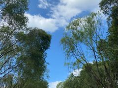 -同里国家湿地公园