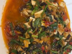 -滇铺子·云南特色菜·第九届野生菌美食节(东风东路c86店)