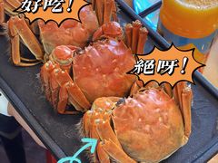 -蟹天蟹地农家菜·阳澄湖大闸蟹(浅水湾店)