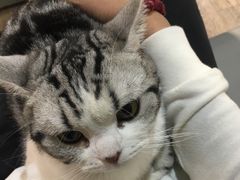 -小时光咖啡馆(开森度假森林店)