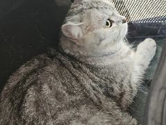 -宠颐生中康贝怡动物医院