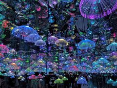 -天津梵高星空艺术馆(天河城旗舰店)