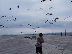 -东港音乐喷泉广场