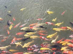 -盘锦红海温泉乐园