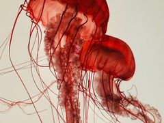 -沈阳海洋探索中心