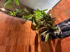 -一坐一忘云南菜(三里屯店)