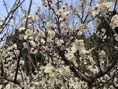 -茂南拉面馆(雨花新村店)